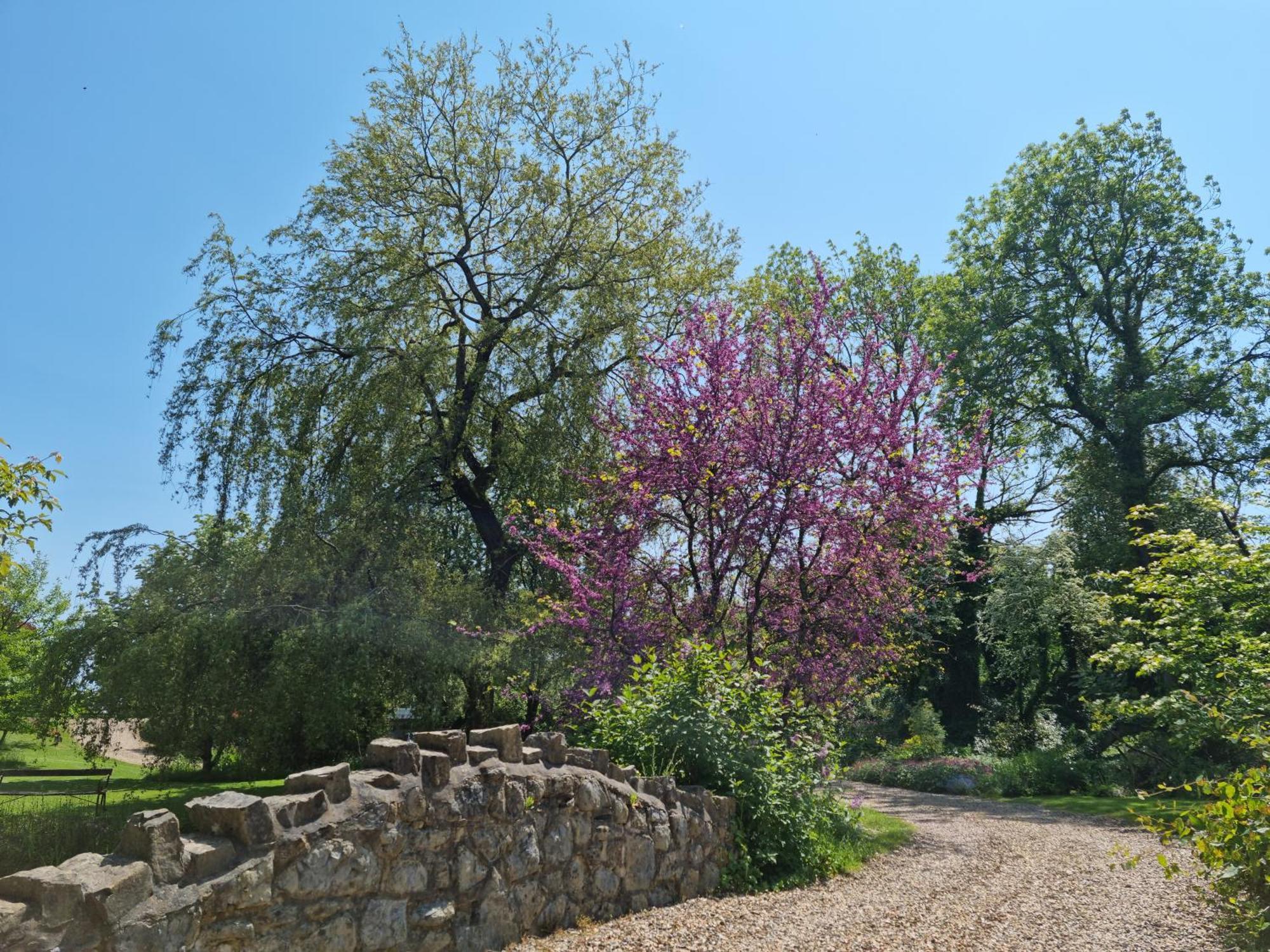 ホテル Glyndwr Vineyard コウブリッジ エクステリア 写真